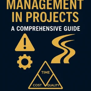 Risk Management in Projects